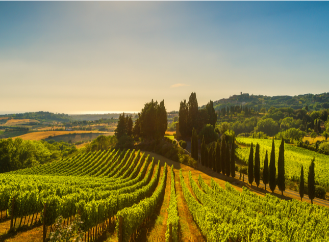 Read more about the article Tuscany’s Real Estate Reign Continues – Despite Puglia’s Hype