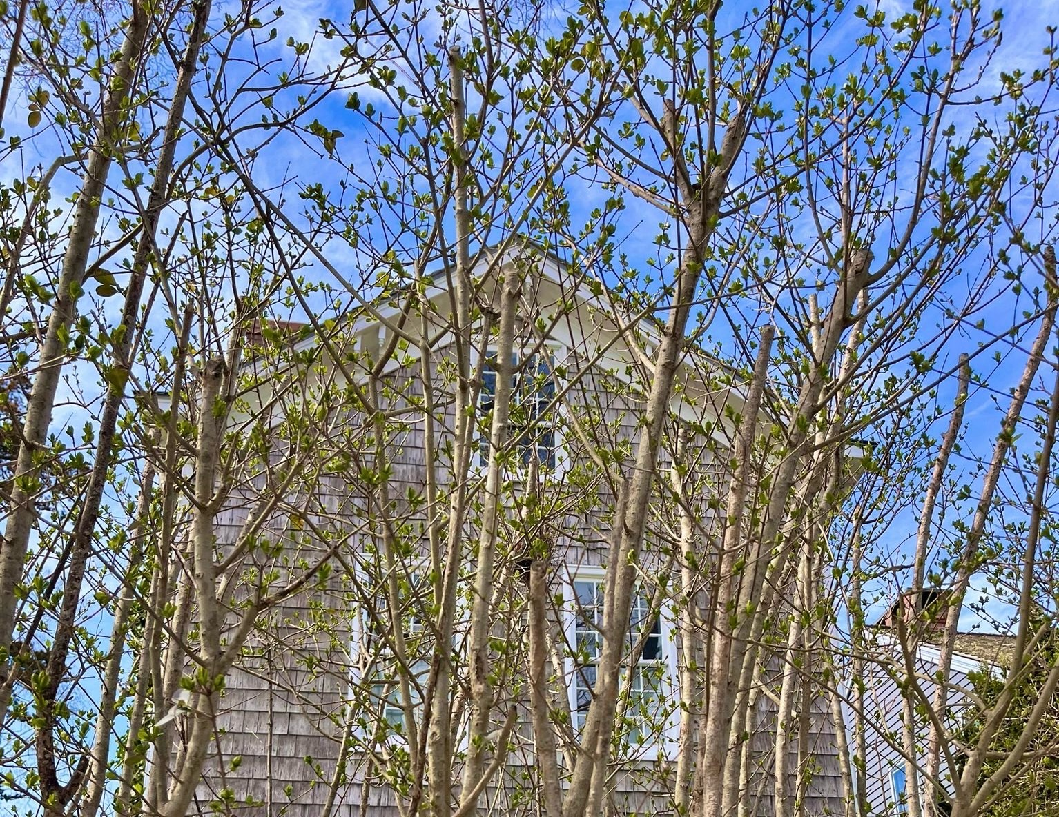 Scopri di più sull'articolo La casa dei sogni negli Hamptons: come una ristoratrice ha speso 3 milioni per la sua casa sul mare (NYT)