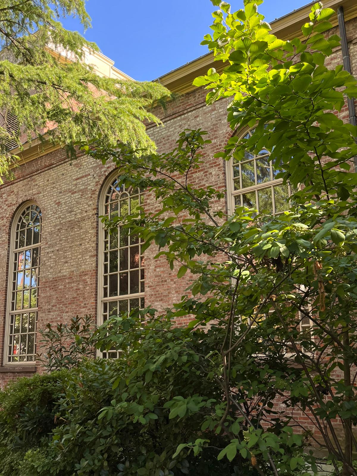 Read more about the article Among private gardens and inner courtyards, here is the latest oasis of peace in New York