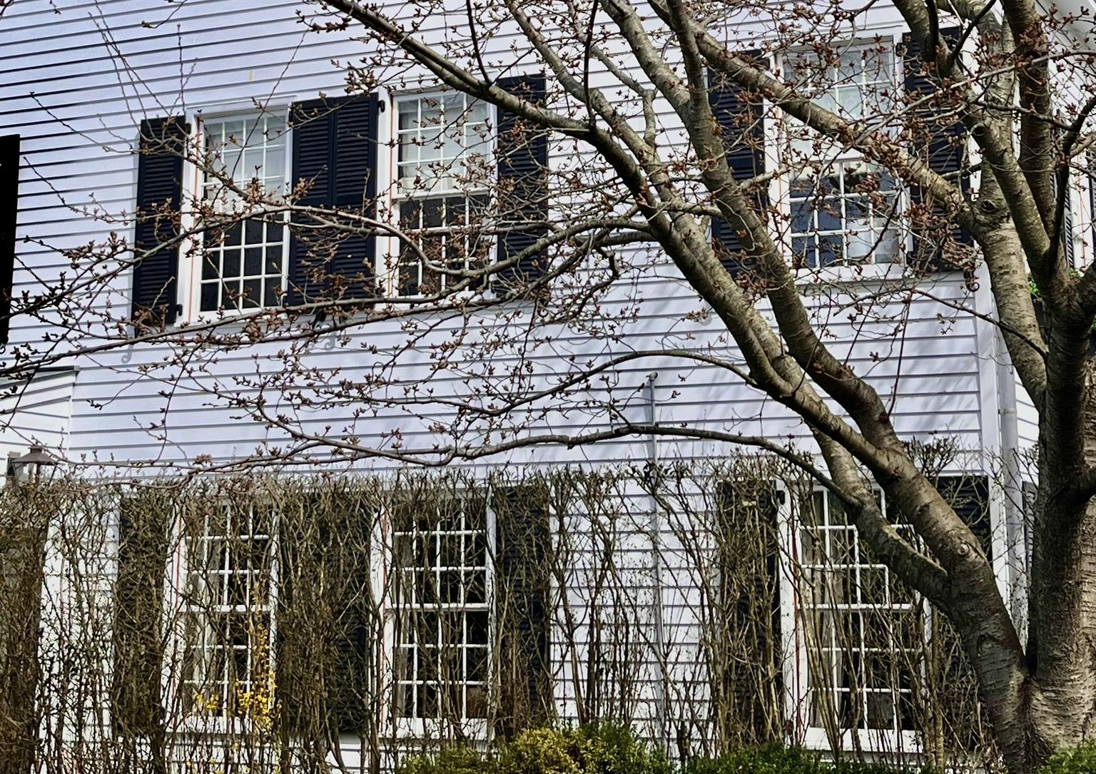 Read more about the article Dream Home in the Hamptons: How a Restaurateur Spent $3M Transforming Her Waterfront Retreat