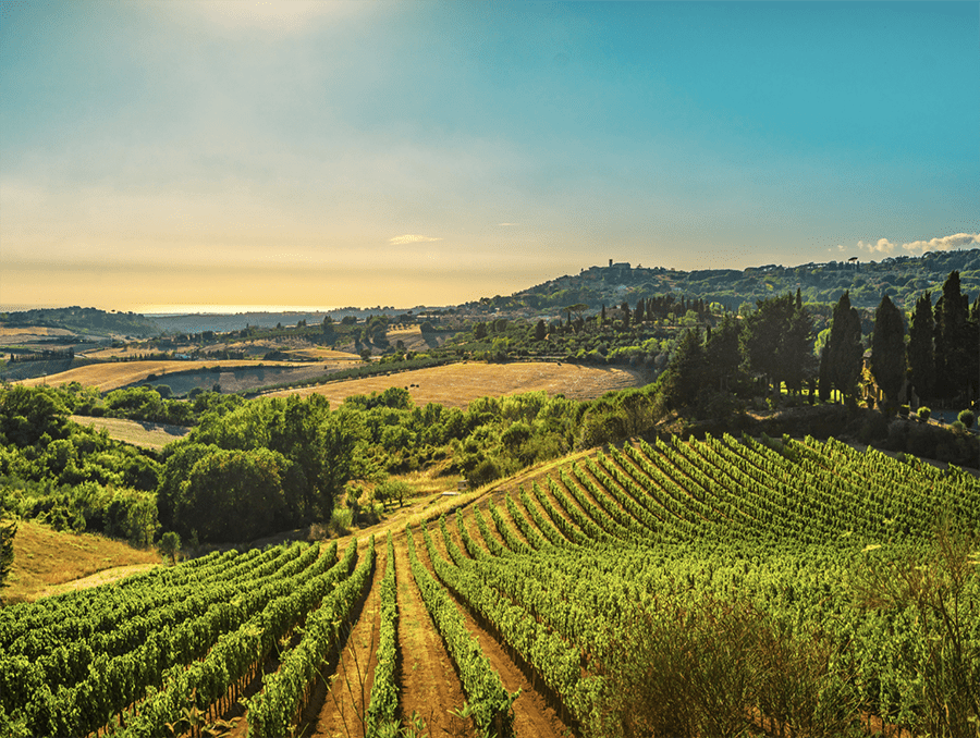 Read more about the article Real Estate and Luxury. New Owner for the Historic Villa Michelangelo on the Florentine Hills