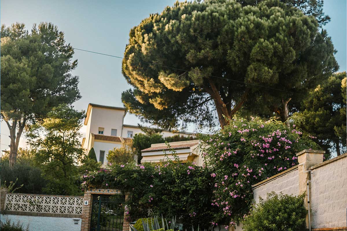 Read more about the article Luxury Property Markets Show Resilience in Italy and Beyond