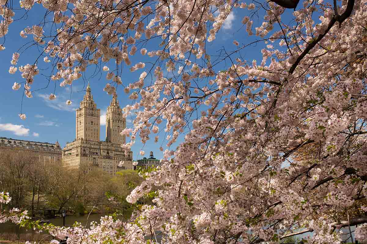 Read more about the article NYC Real Estate 2025: Spring Surge and Recovery Trends