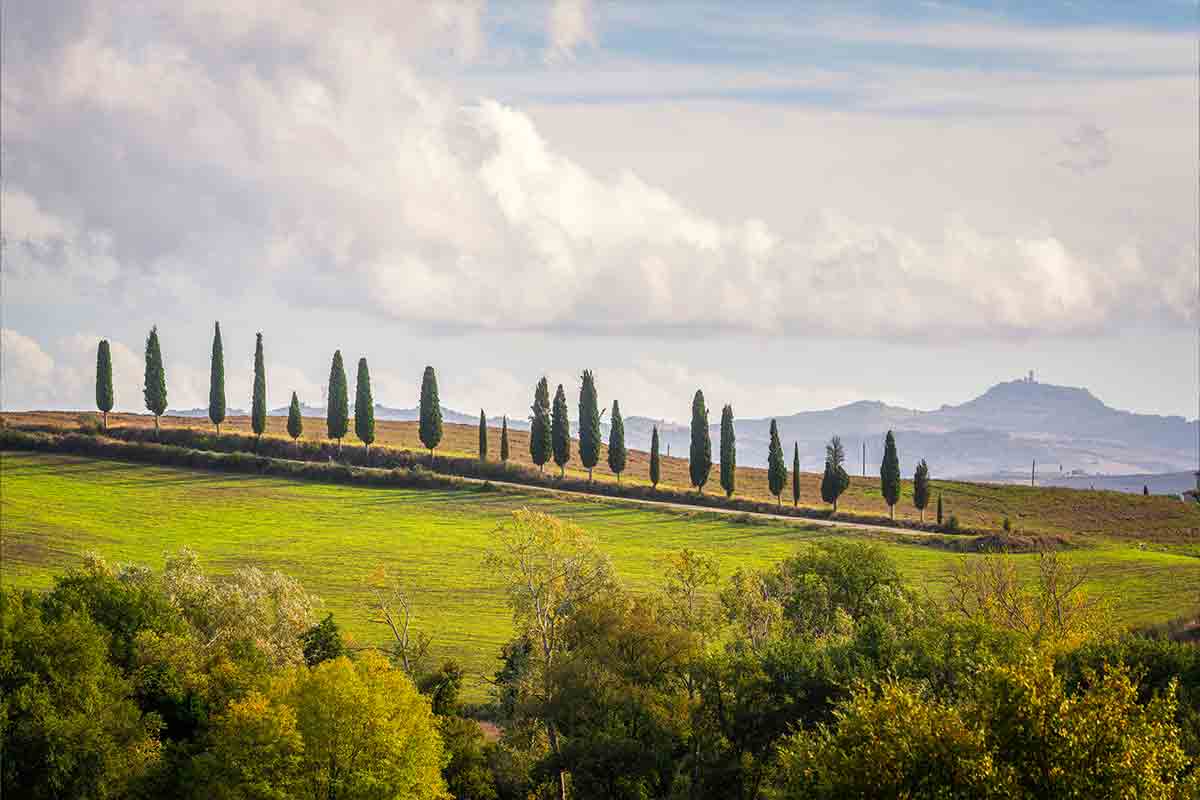 Read more about the article The Great Tuscan Migration: America’s Wealth Reshaping Italian Landscapes