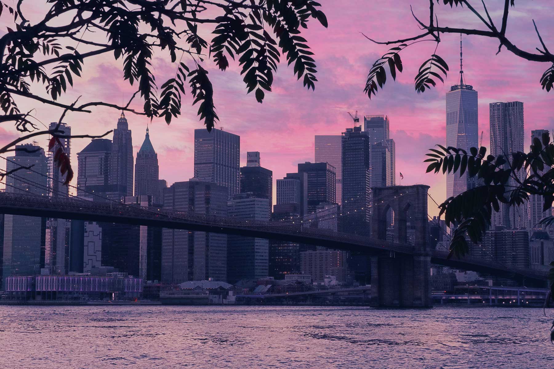 Read more about the article In New York, Confidence Returns Selectively