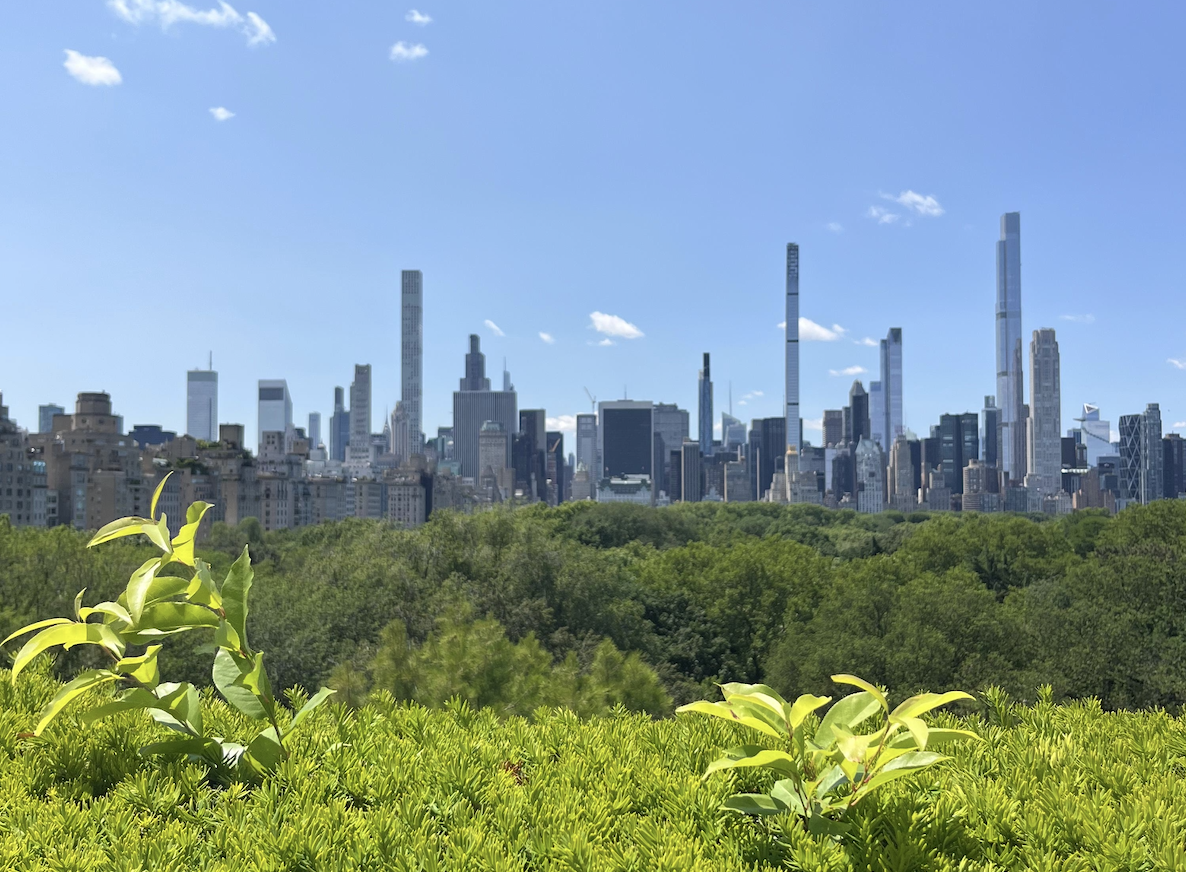 Scopri di più sull'articolo Manhattan è la Capitale Italiana d’America – E Questi 13 Ristoranti Lo Dimostrano